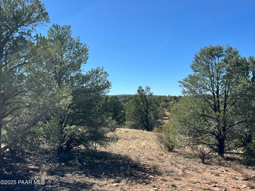 Photo of 9 Off Ranch Rd, Ash Fork, AZ 86320 (MLS # 1076981)