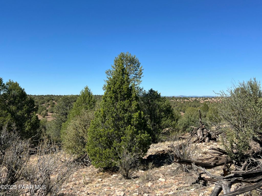 Photo of 9 Off Ranch Rd, Ash Fork, AZ 86320 (MLS # 1076981)