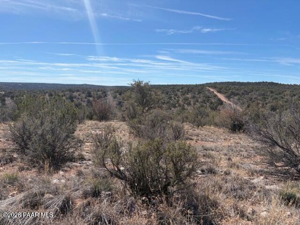 Photo of 56800 Bearclaw Road, Seligman, AZ 86337 (MLS # 1080489)