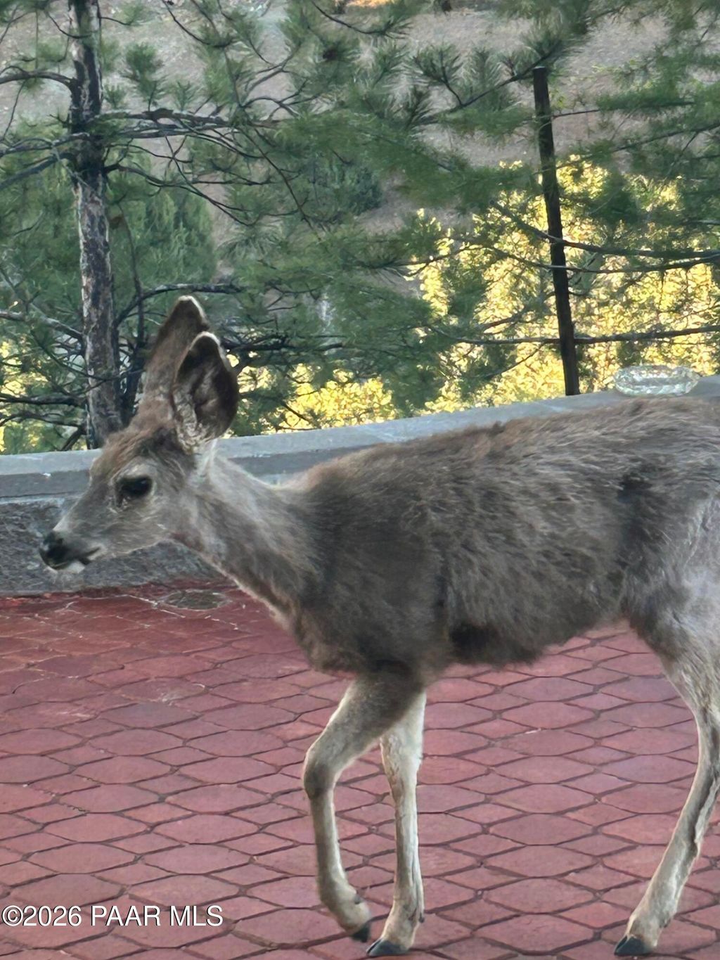 Photo of 1375 N Overlook Drive, Dewey-Humboldt, AZ 86327 (MLS # 1079923)