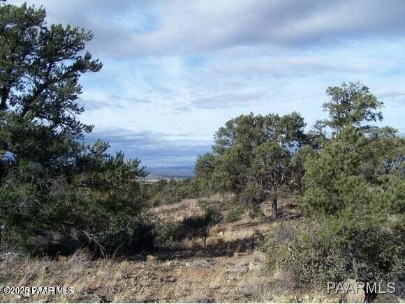 12830 Spiral Dancer Trail