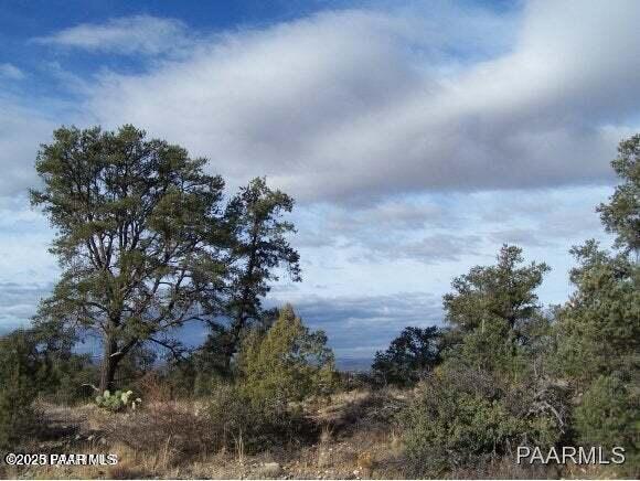 12830 Spiral Dancer Trail