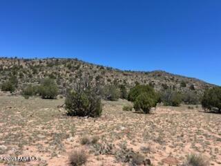 307 Off Of Old Deputy Shortline