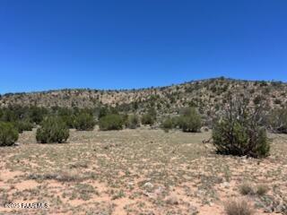 307 Off Of Old Deputy Shortline