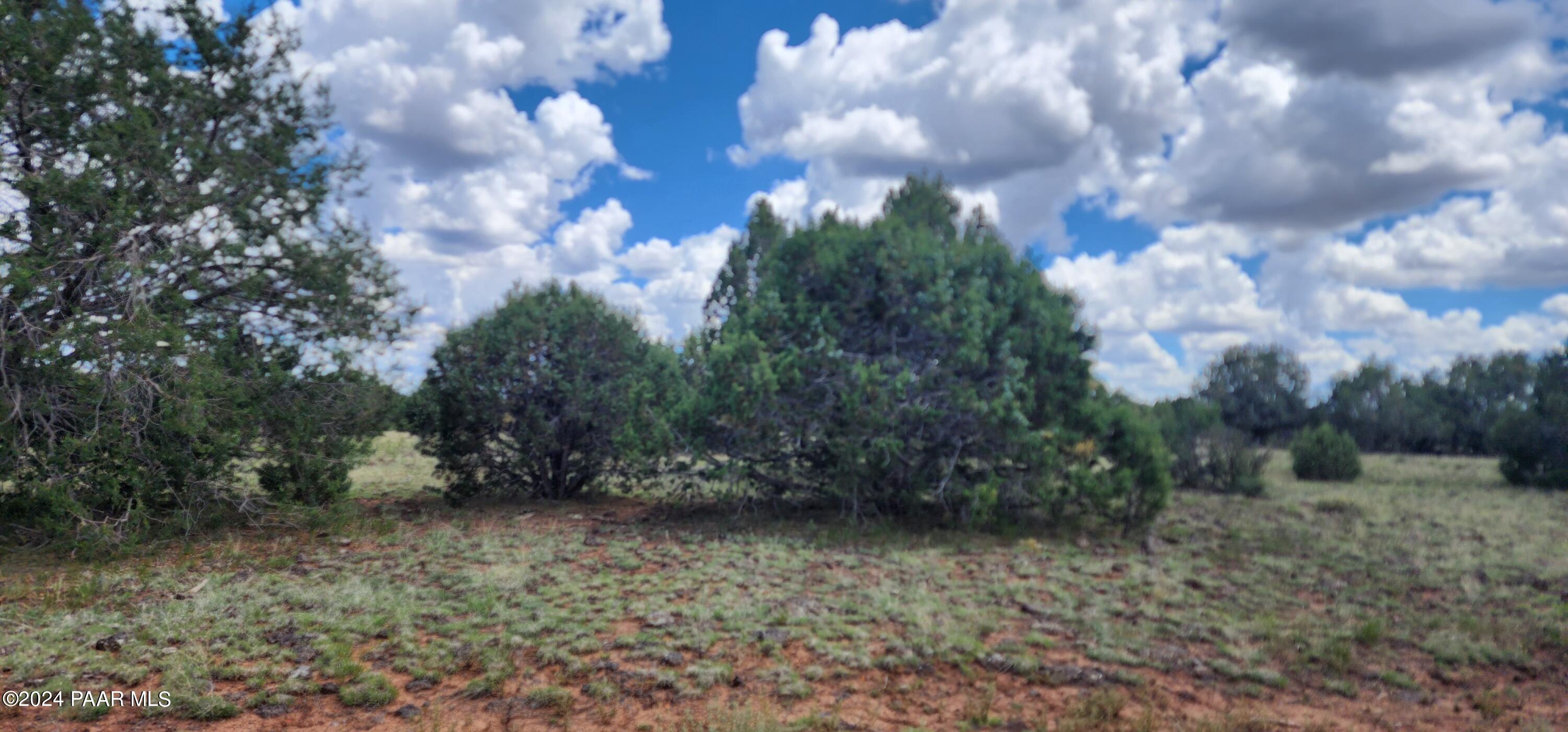 687-A Medicine Man Trail