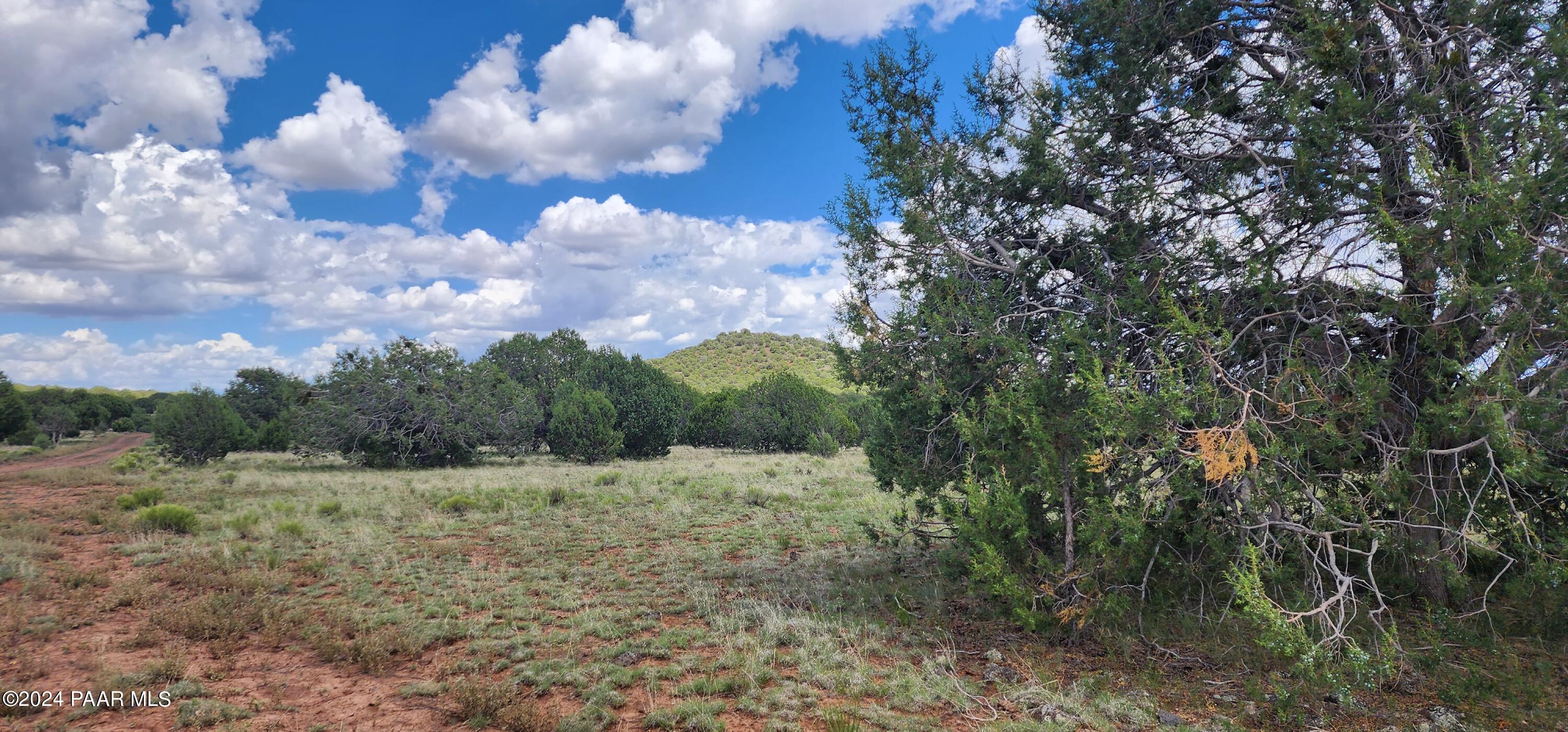 687-A Medicine Man Trail