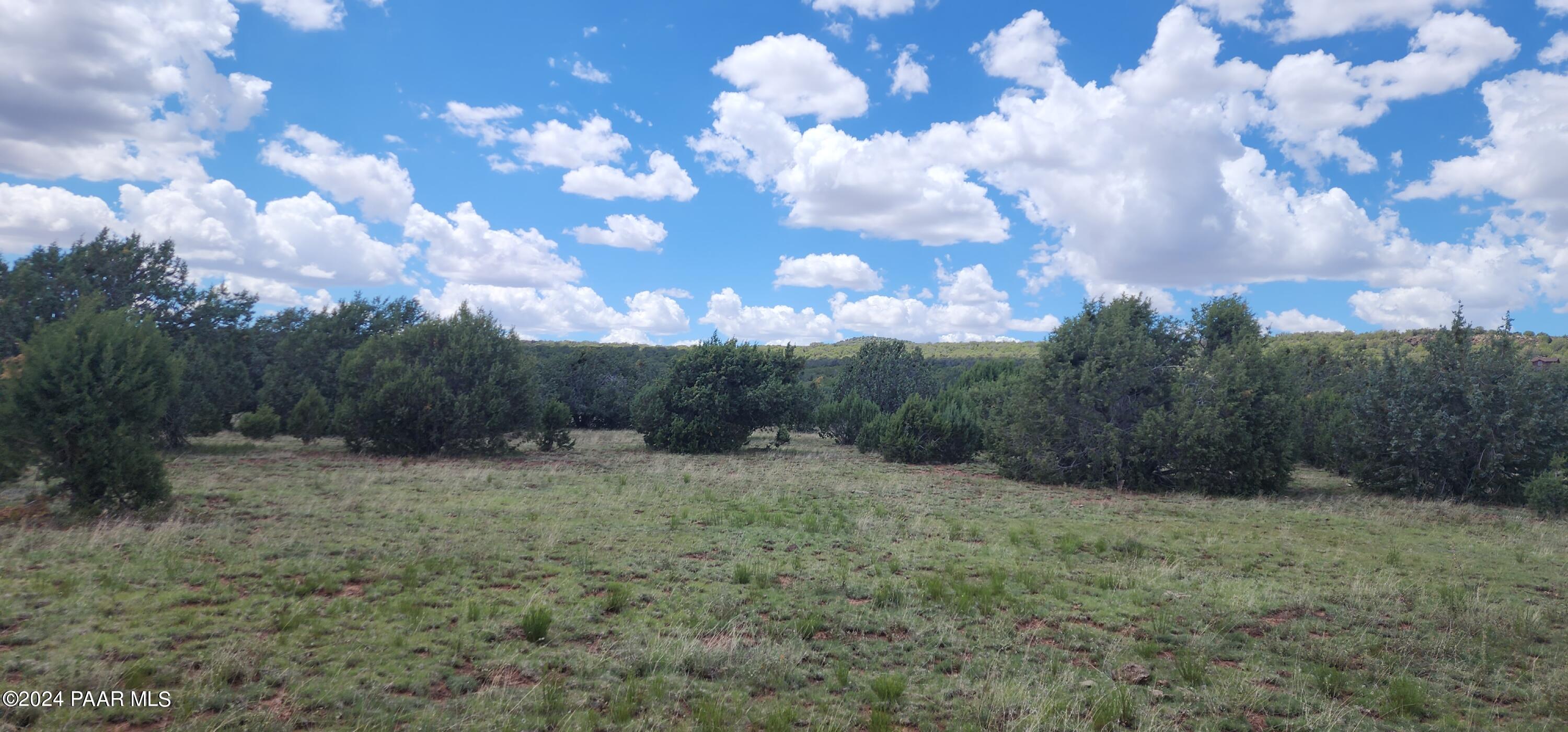 687-A Medicine Man Trail