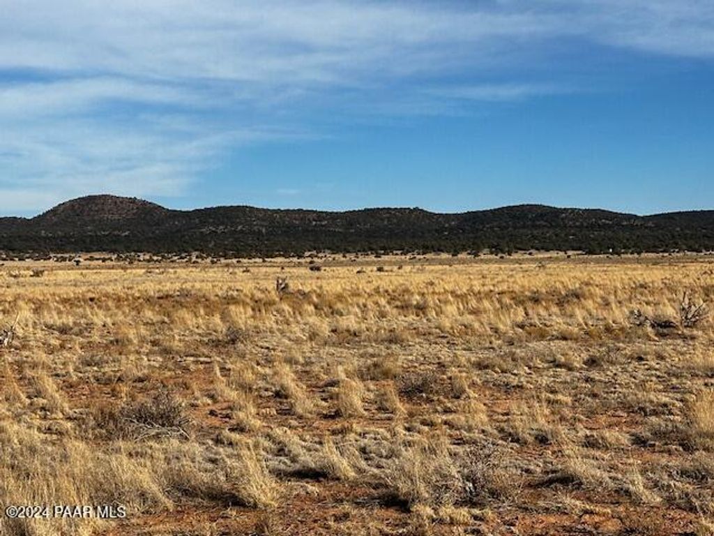 Photo of 1270 Along Way, Seligman, AZ 86337 (MLS # 1078904)