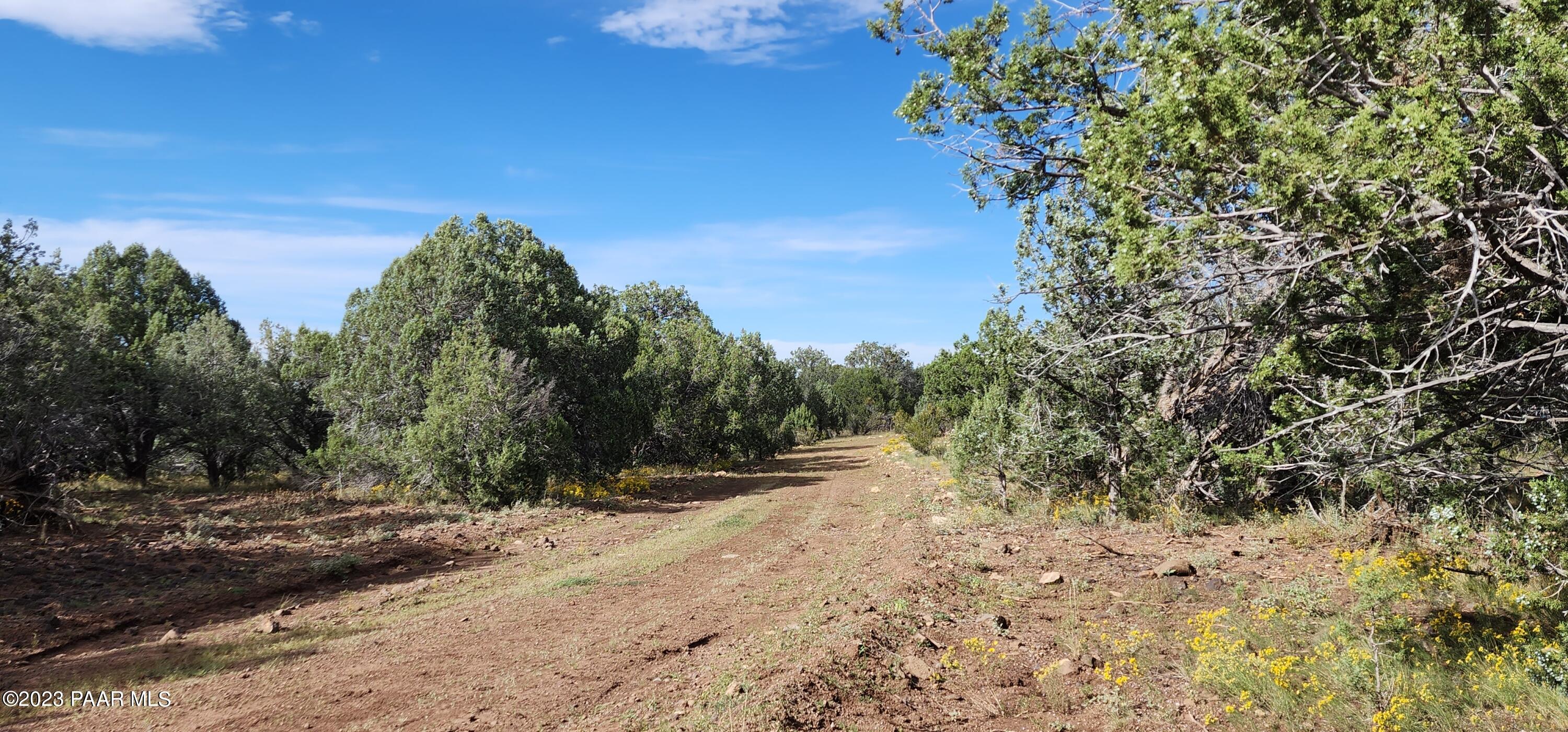 223 Westwood Ranch