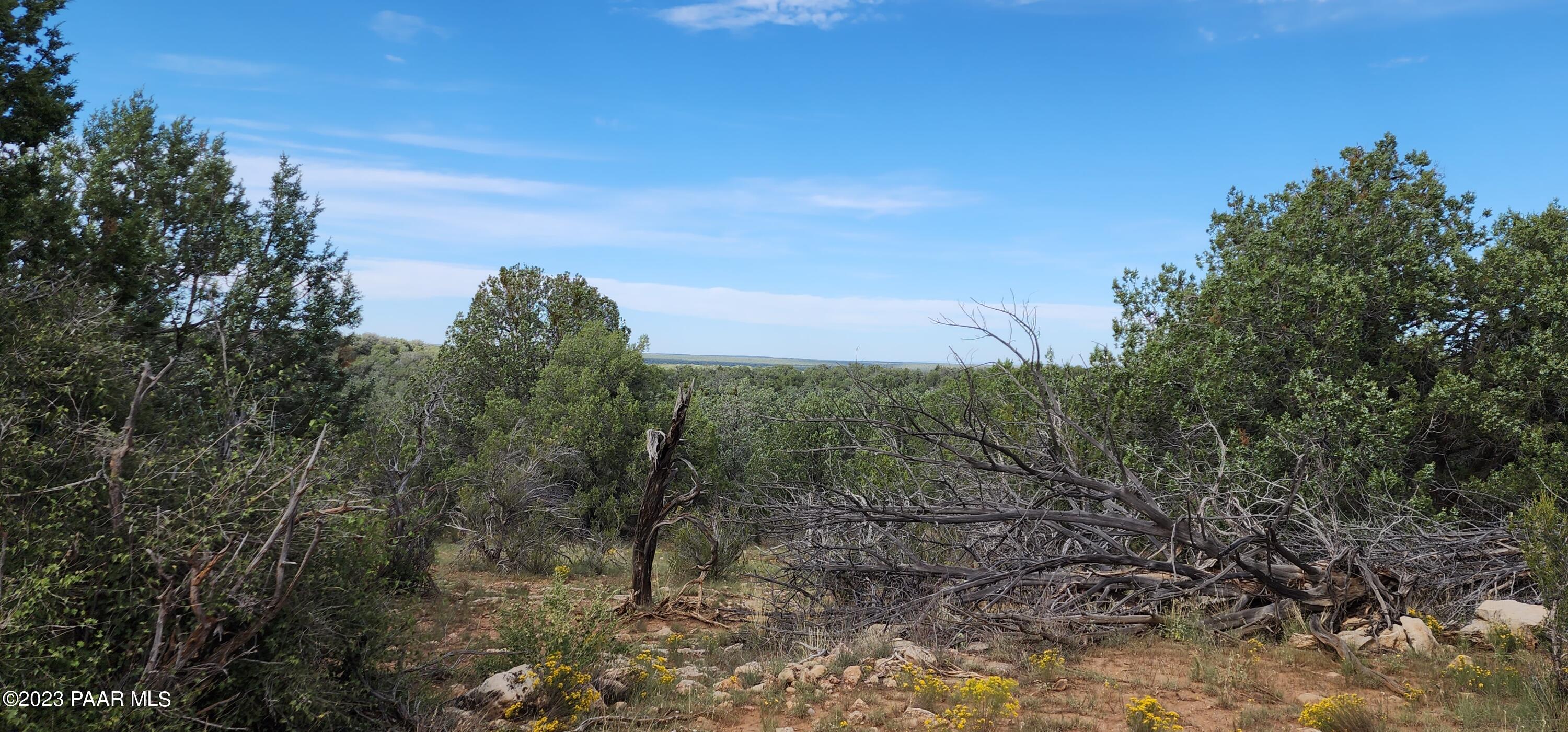 223 Westwood Ranch