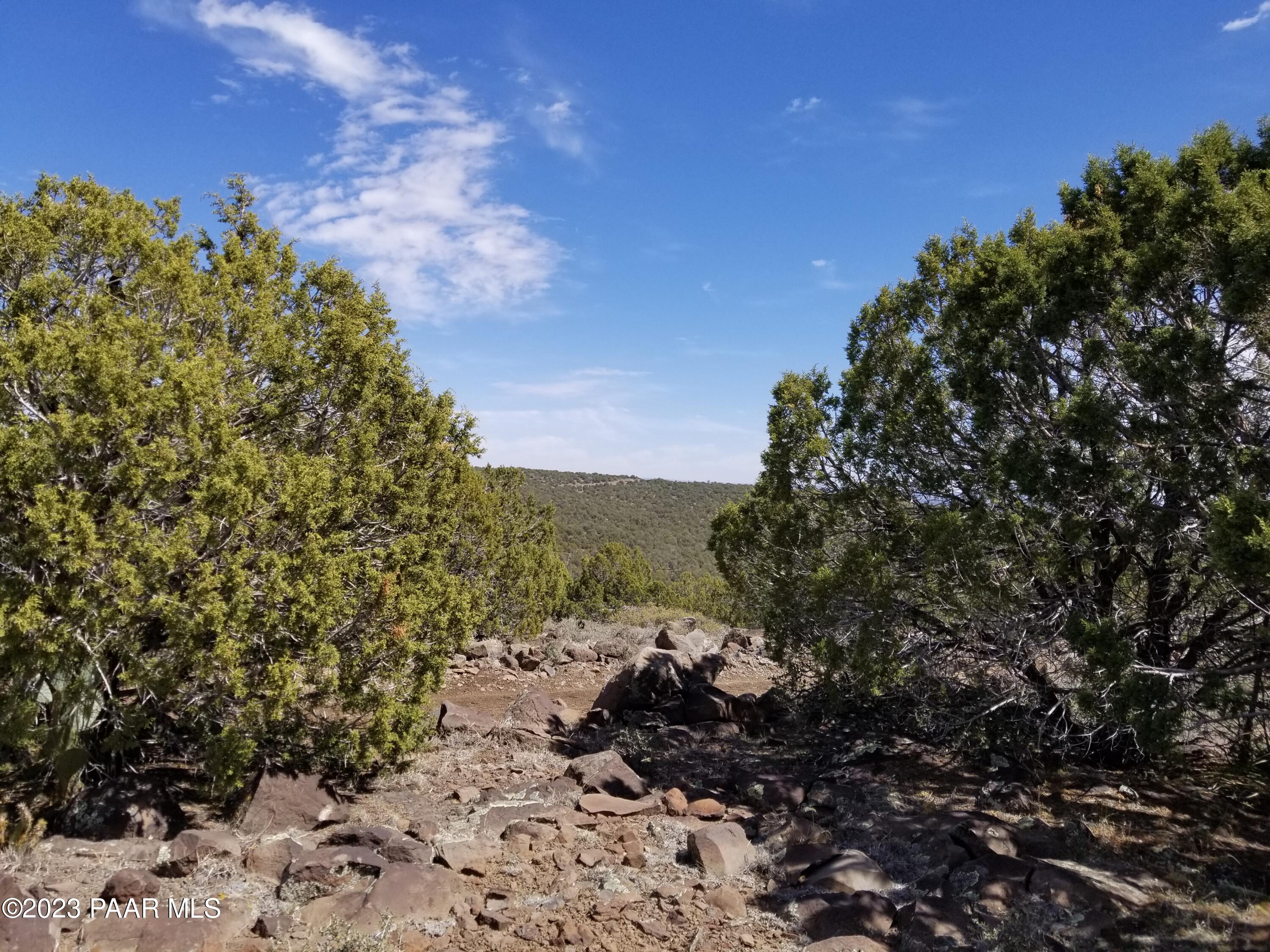 223 Westwood Ranch