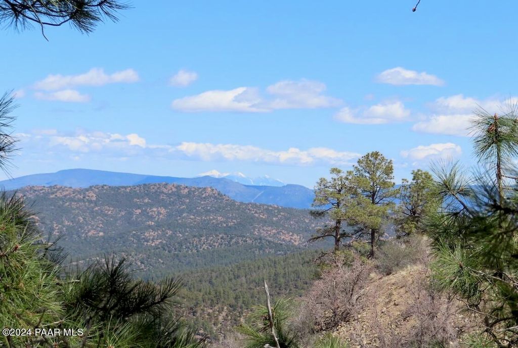 Photo of 71 S Big Bug Mesa Road, Prescott, AZ 86303 (MLS # 1079785)