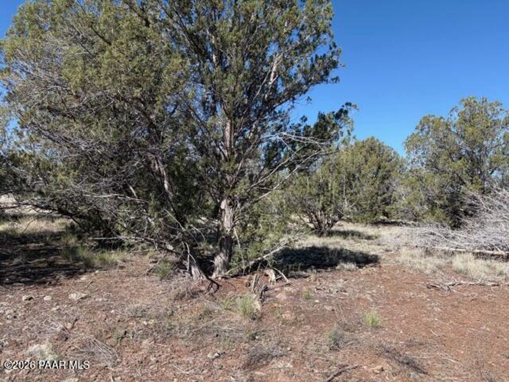 Photo of 4176 N Double A Ranch Road, Williams, AZ 86046 (MLS # 1081316)