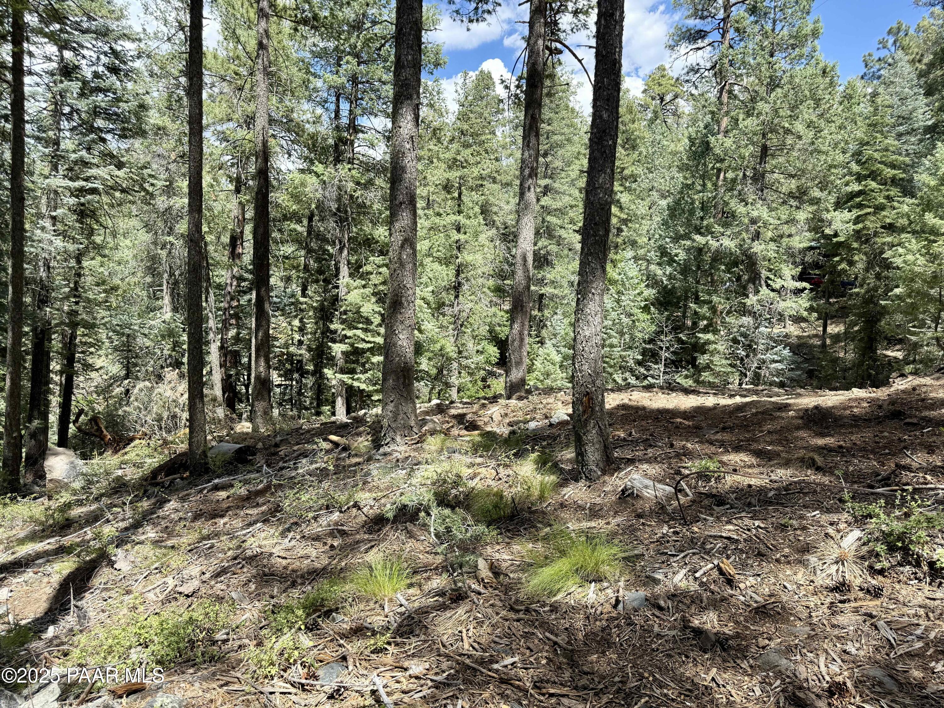 7964 S Millsite Drive
