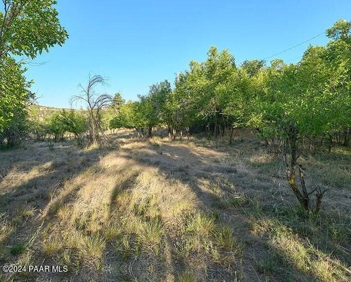 412 White Spar Road
