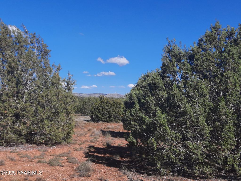 Photo of 54243 N Via De Oro Pakway Parkway, Seligman, AZ 86337 (MLS # 1077165)