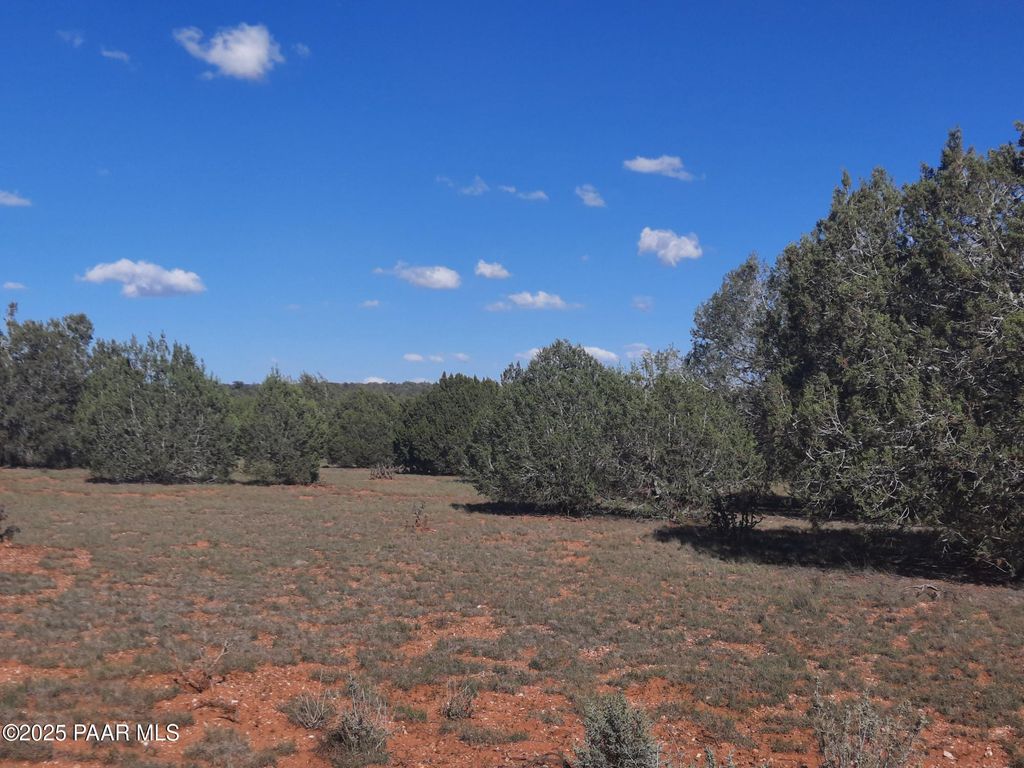 Photo of 54243 N Via De Oro Pakway Parkway, Seligman, AZ 86337 (MLS # 1077165)