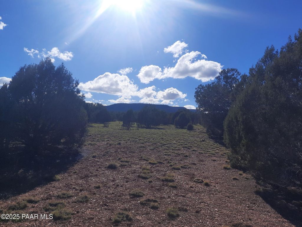 Photo of 54243 N Via De Oro Pakway Parkway, Seligman, AZ 86337 (MLS # 1077165)