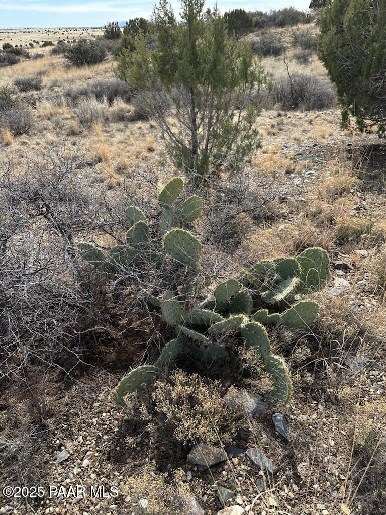 Lot 507 Smoki Trail