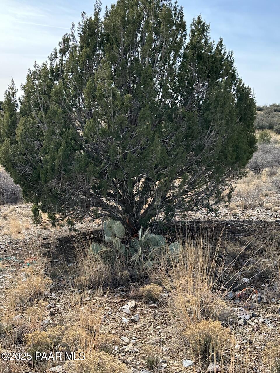 Lot 507 Smoki Trail