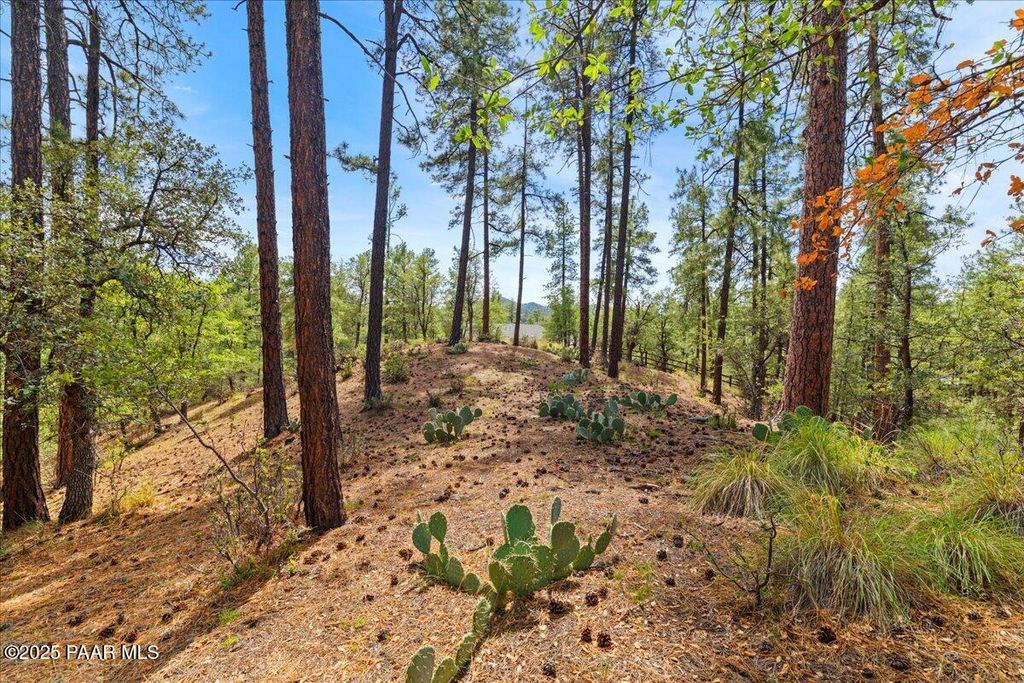 Photo of 5592 W Mountain View, Prescott, AZ 86305 (MLS # 1076836)