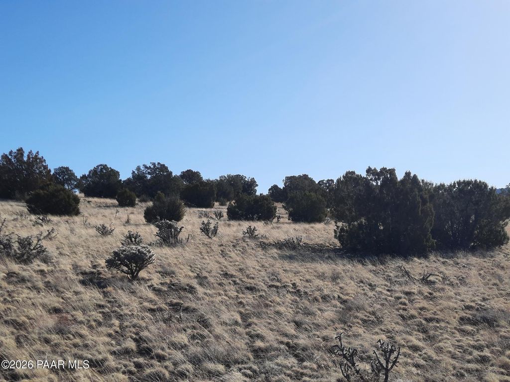 Photo of 1247 Tin Star Trail, Seligman, AZ 86337 (MLS # 1079012)