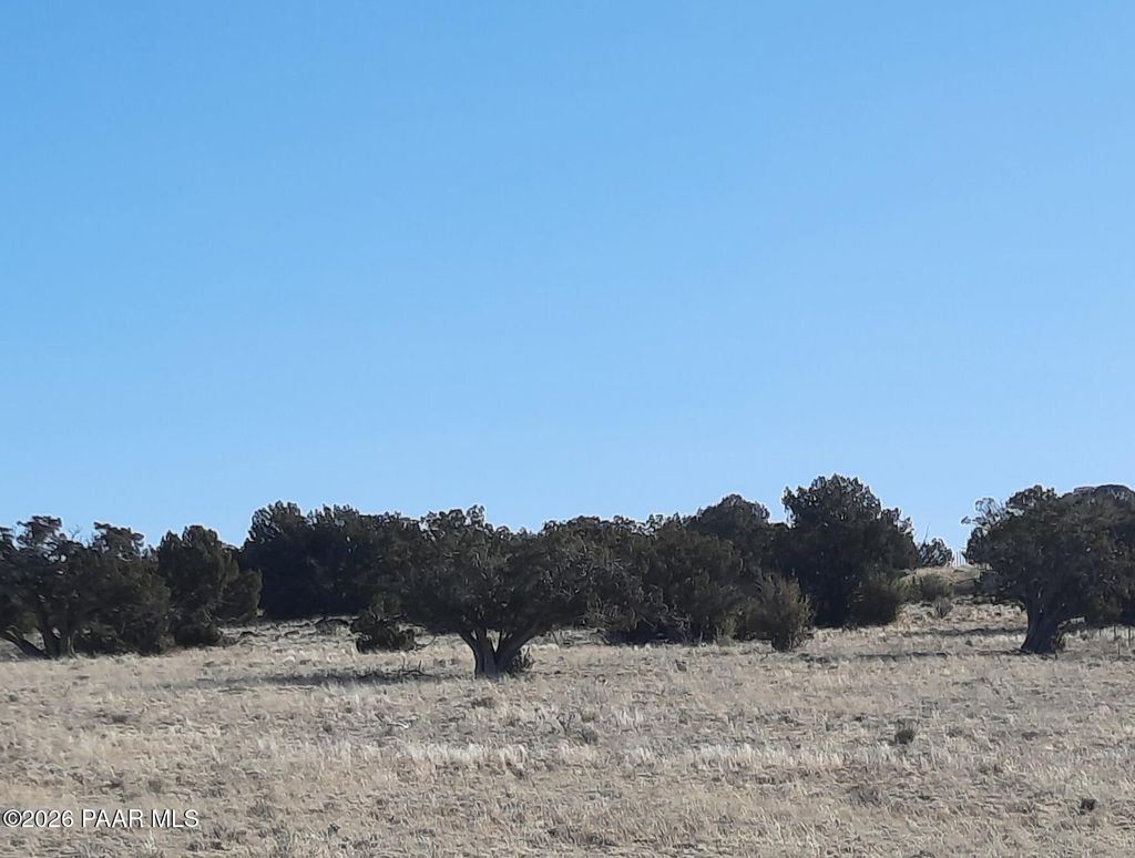 Photo of 1247 Tin Star Trail, Seligman, AZ 86337 (MLS # 1079012)