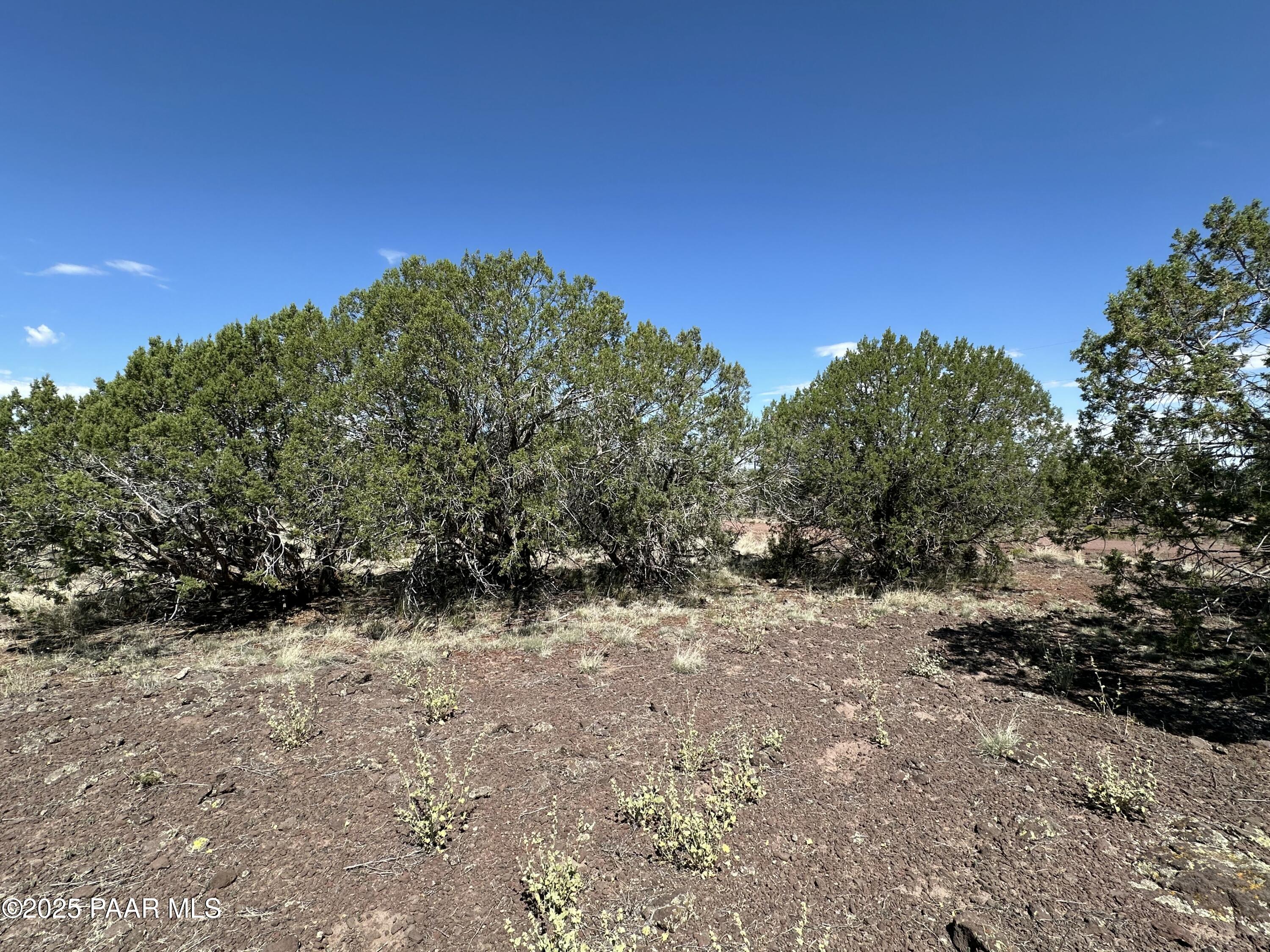 2050 W Skyline Drive