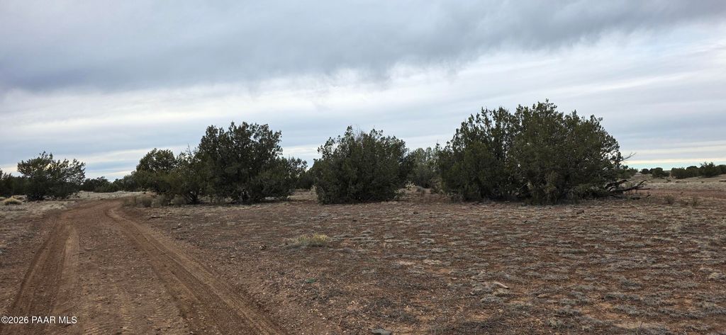 Photo of 214 Juniper Woods, Ash Fork, AZ 86320 (MLS # 1079514)