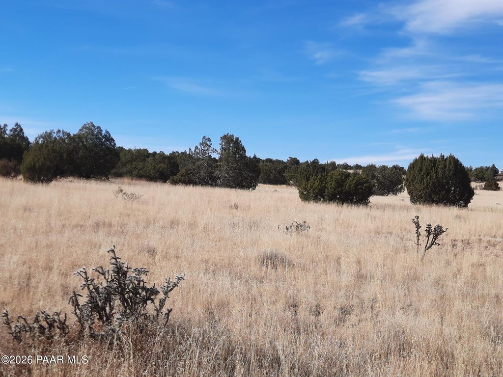 Photo of 58840 N Tambor Road, Seligman, AZ 86337 (MLS # 1078765)