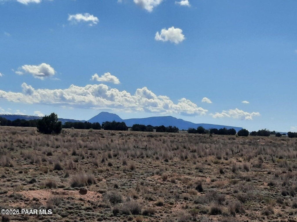 Photo of 53316 N Saddlerock Drive, Seligman, AZ 86337 (MLS # 1084048)