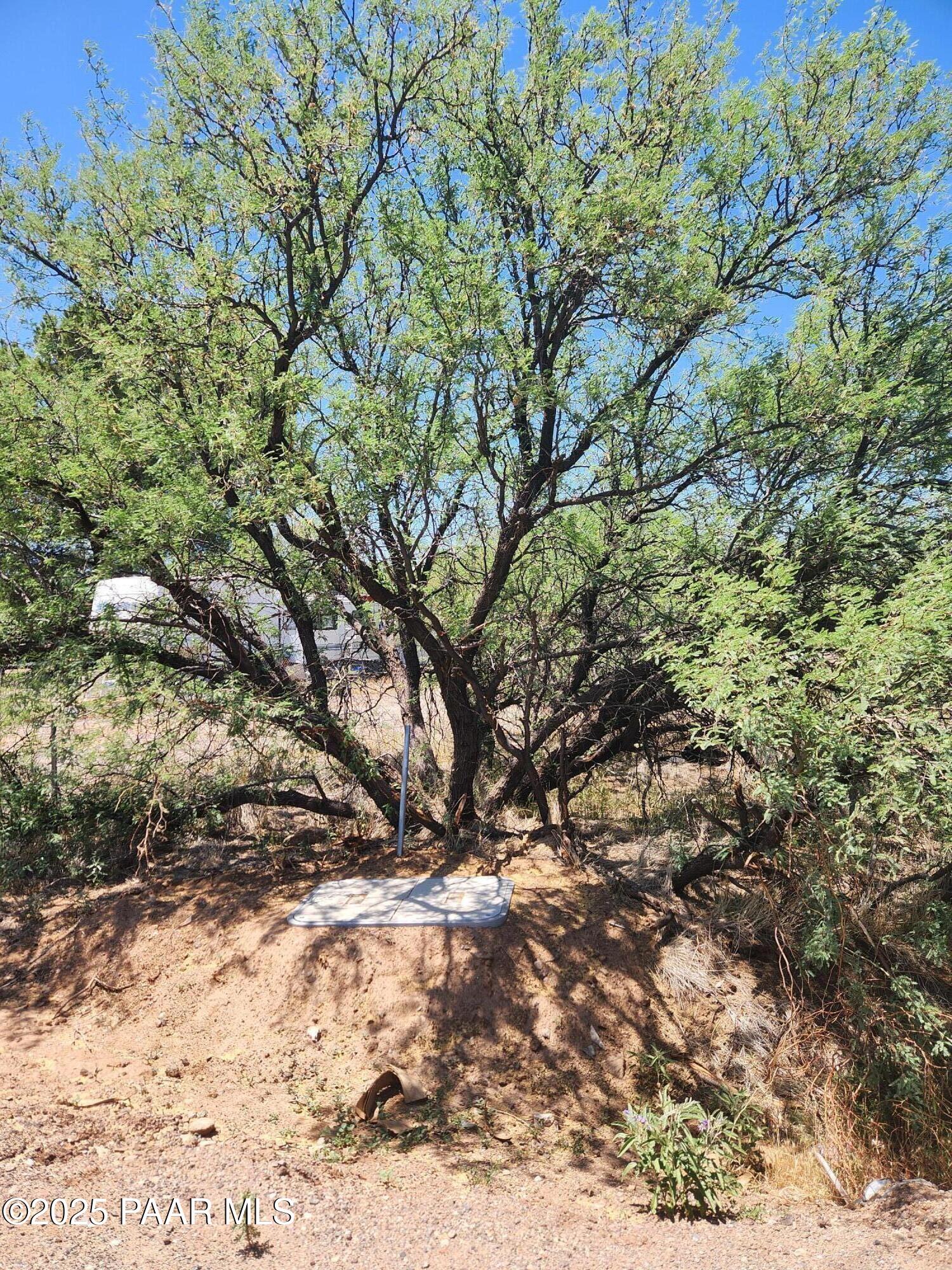 20956 E Cortez Road