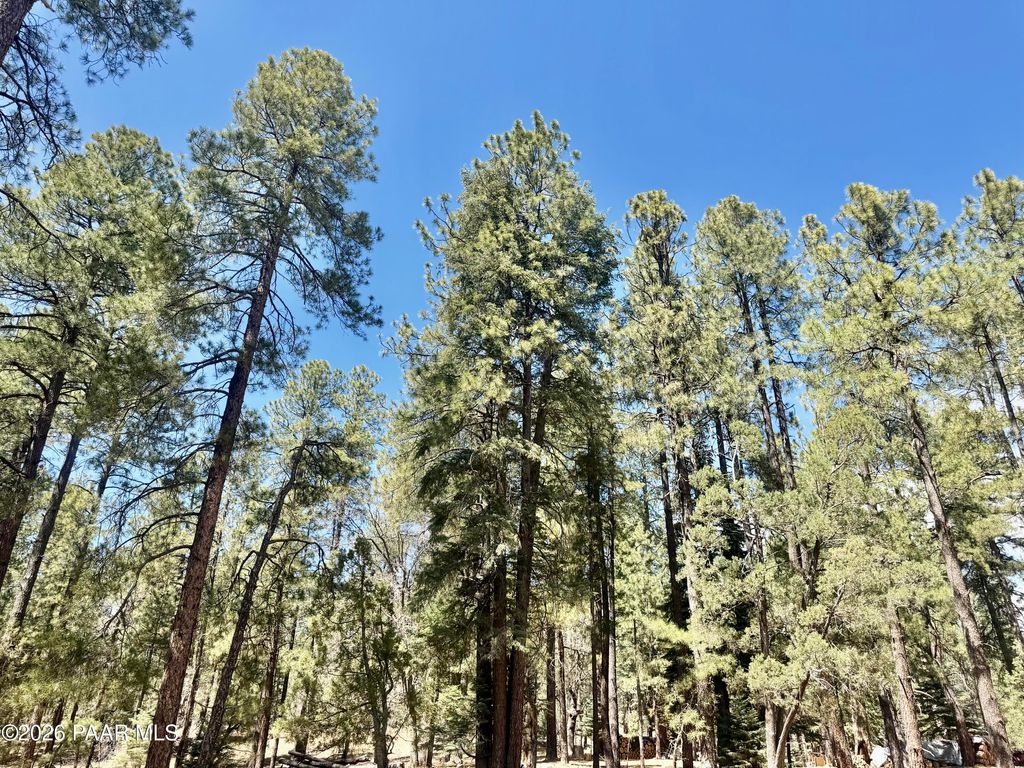 Photo of 3200 E Misty Mountain Loop, Prescott, AZ 86303 (MLS # 1080751)
