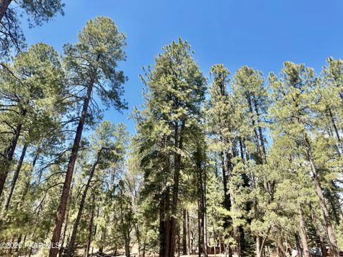 Photo of 3200 E Misty Mountain Loop, Prescott, AZ 86303 (MLS # 1080751)