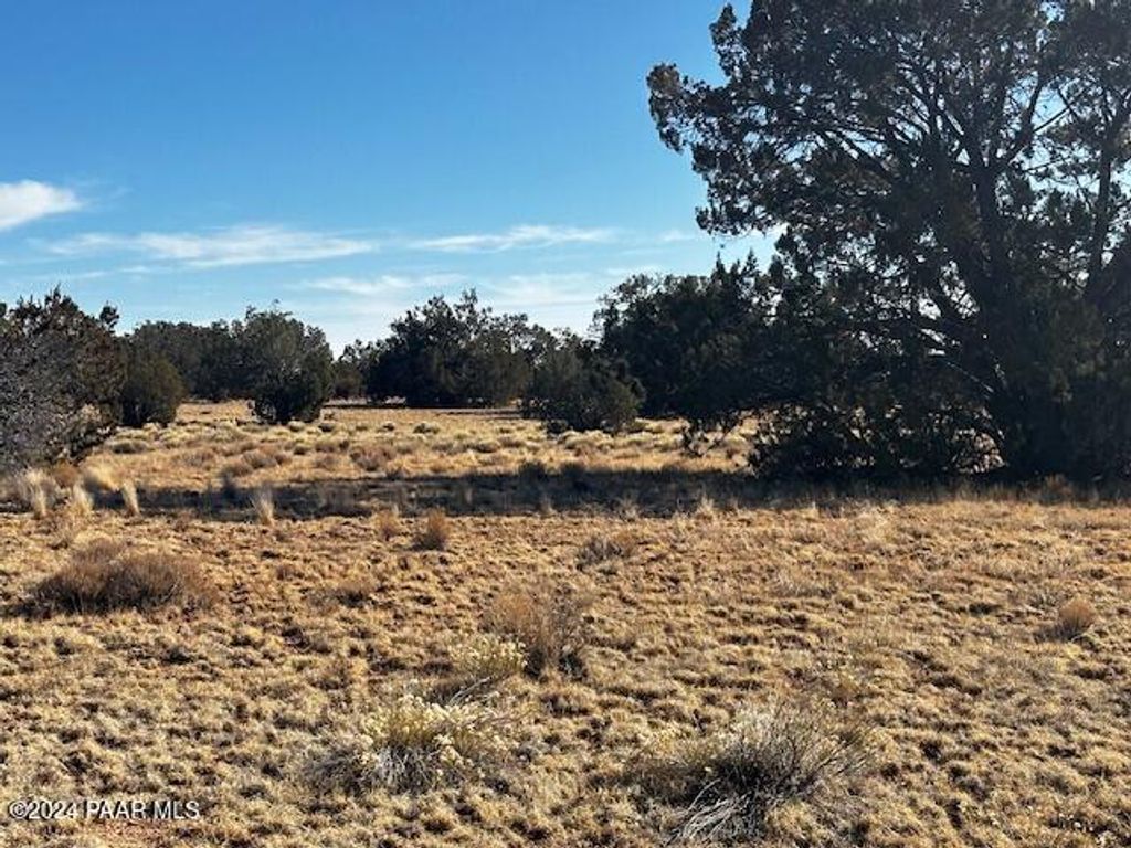 Photo of 234 Brothers Road, Seligman, AZ 86337 (MLS # 1078988)