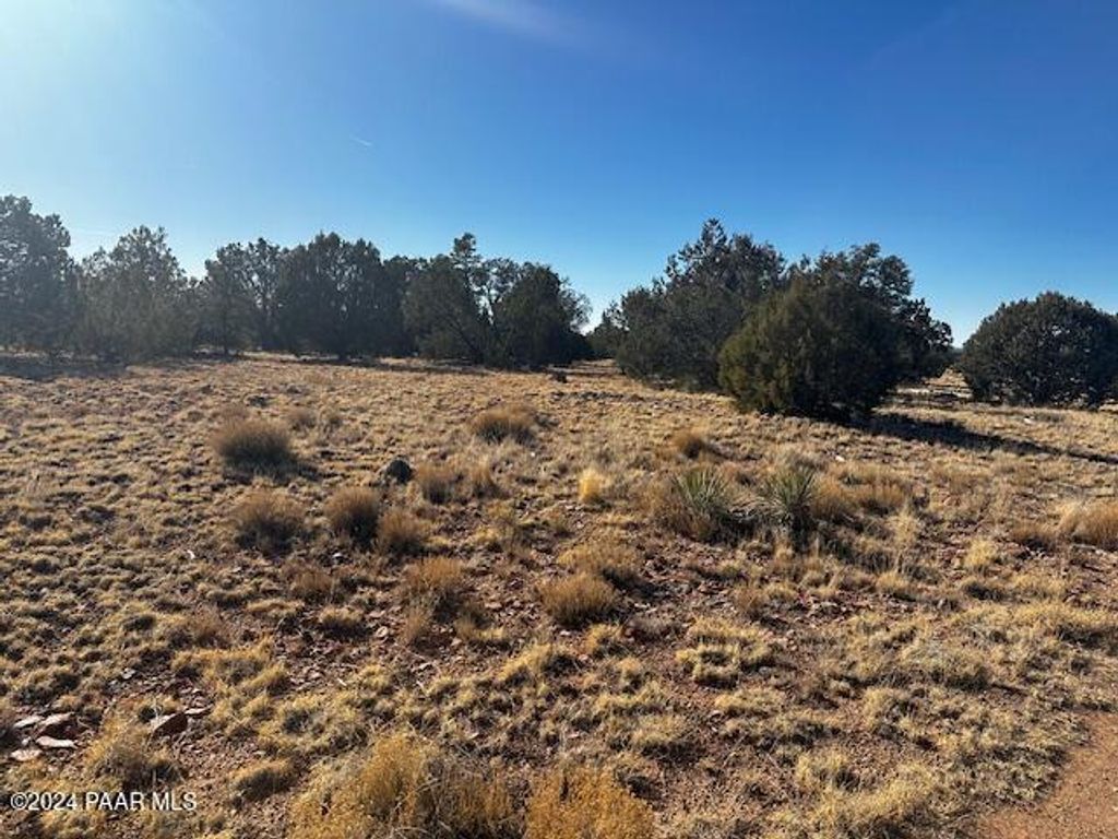 Photo of 234 Brothers Road, Seligman, AZ 86337 (MLS # 1078988)