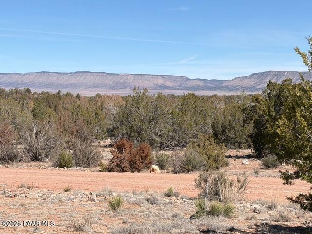 Photo of 58102 Bridge Canyon Road, Seligman, AZ 86337 (MLS # 1079933)