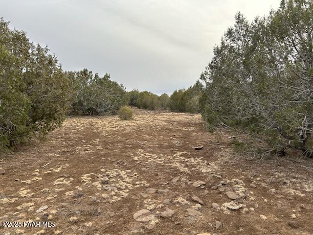 199 Westwood Ranch