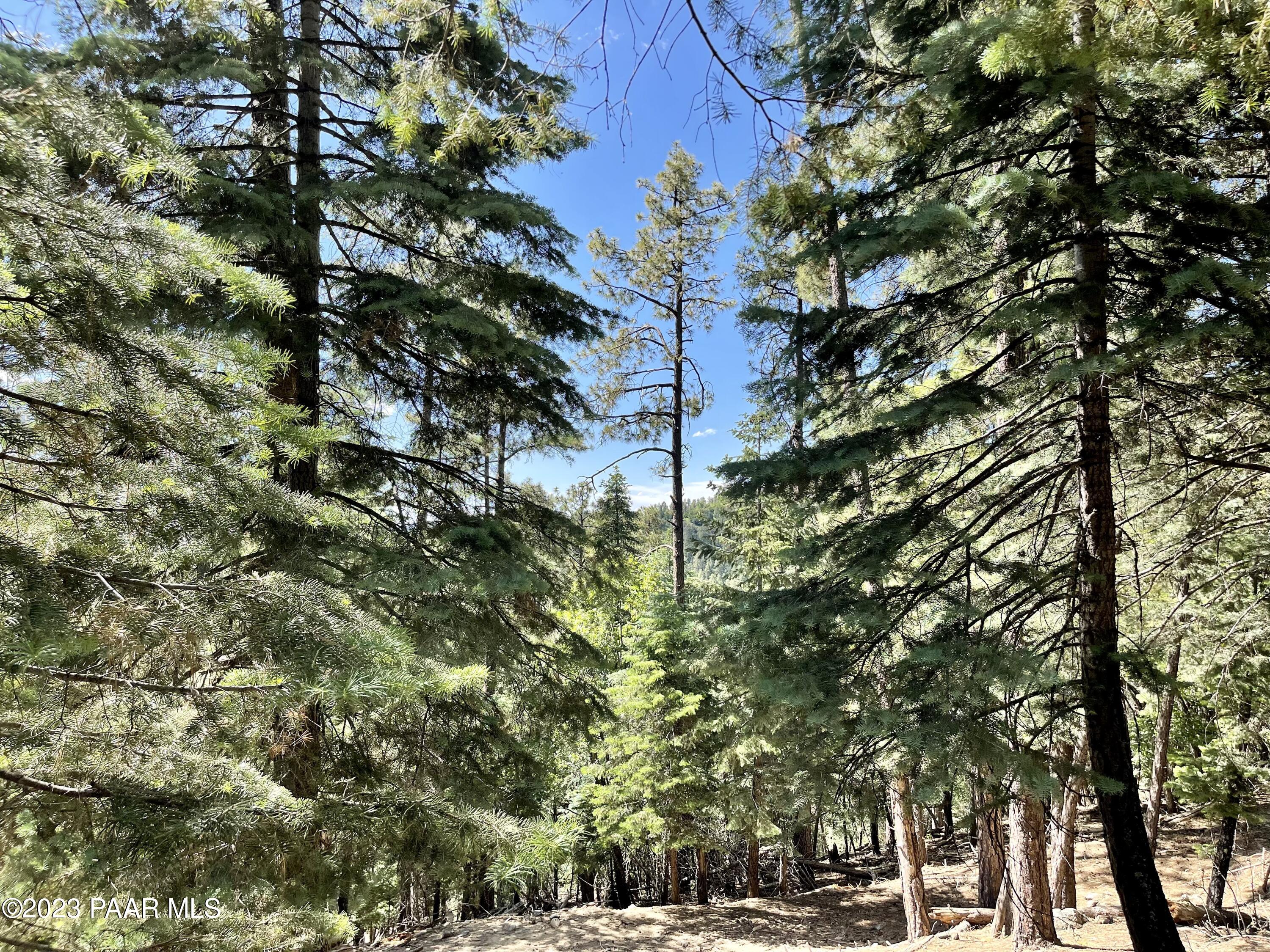 2440 E Summit Avenue