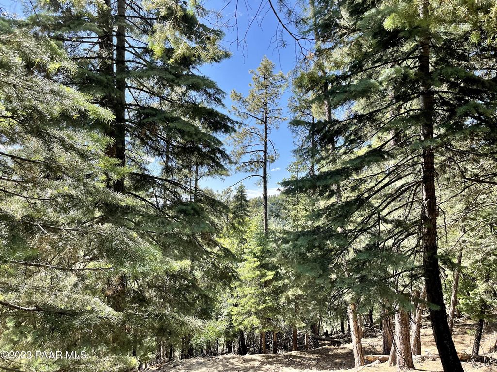 Photo of 2440 E Summit Avenue, Prescott, AZ 86303 (MLS # 1076642)