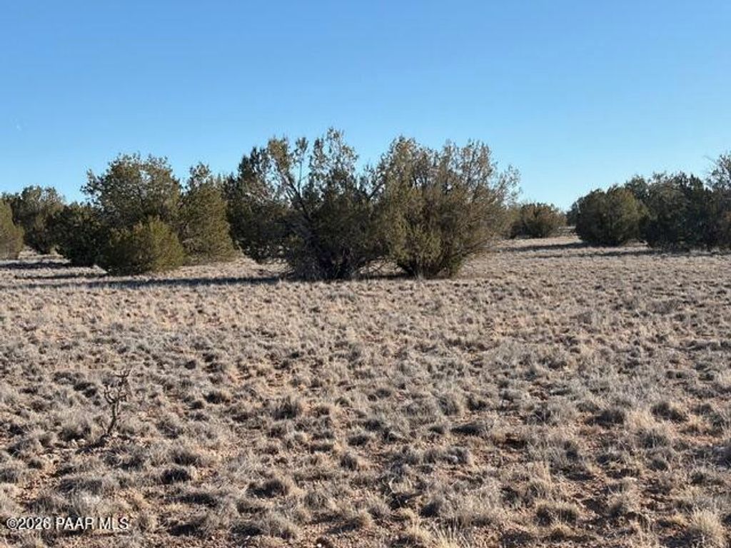 Photo of 27275 Punta Lane, Seligman, AZ 86337 (MLS # 1079286)