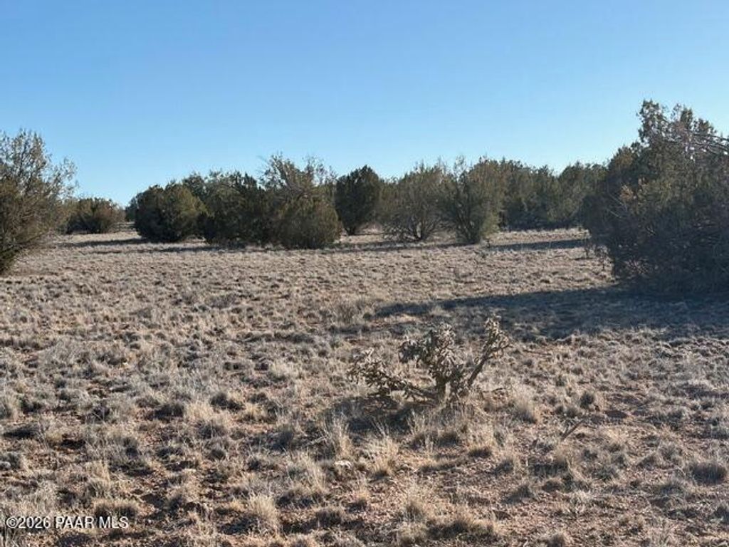 Photo of 27275 Punta Lane, Seligman, AZ 86337 (MLS # 1079286)