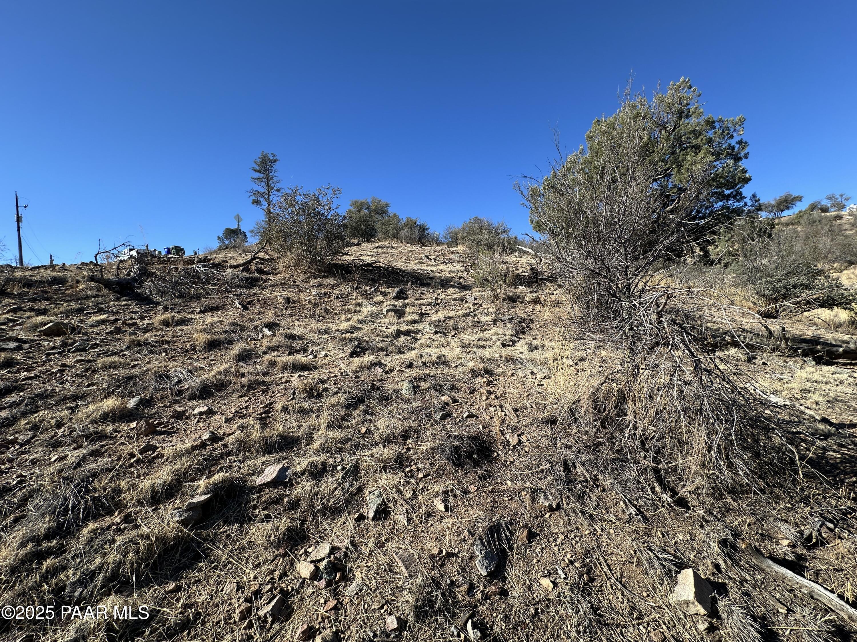2313 Cyclorama Drive