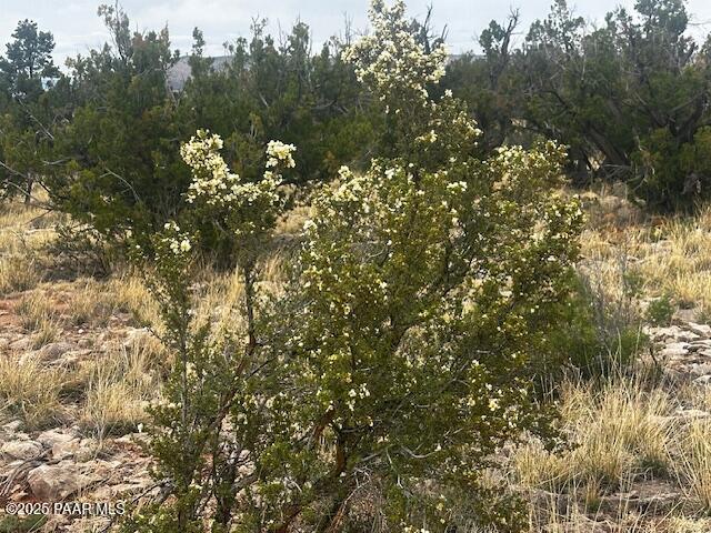 Lot 700 Everwood Trail