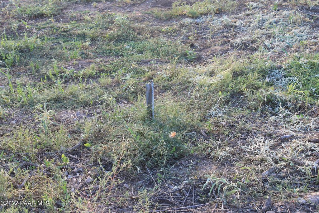 Photo of 25060 N Cedar Drive, Paulden, AZ 86334 (MLS # 1079470)