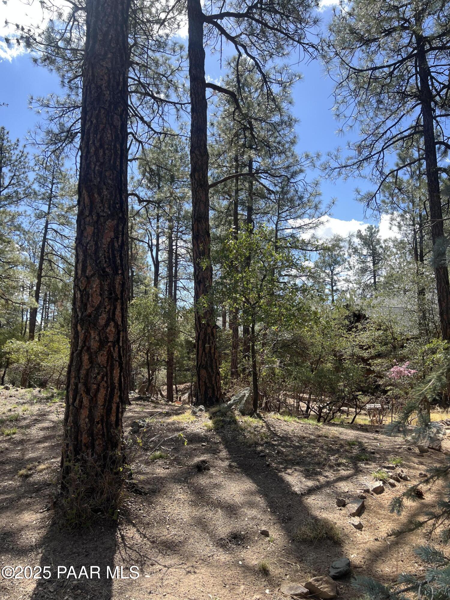 1969 Pine Tree Drive