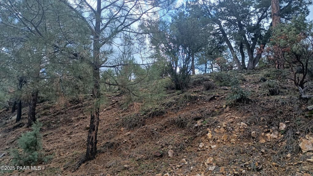 Photo of 1549 Scotch Pine Drive, Prescott, AZ 86303 (MLS # 1077135)