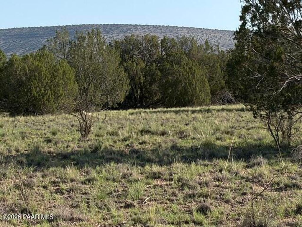 Photo of 25840 W Granada Road, Seligman, AZ 86337 (MLS # 1083952)