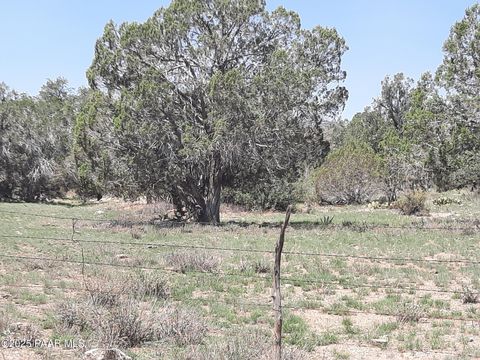 121 Peaceful Hill Rd Seligman AZ 86337