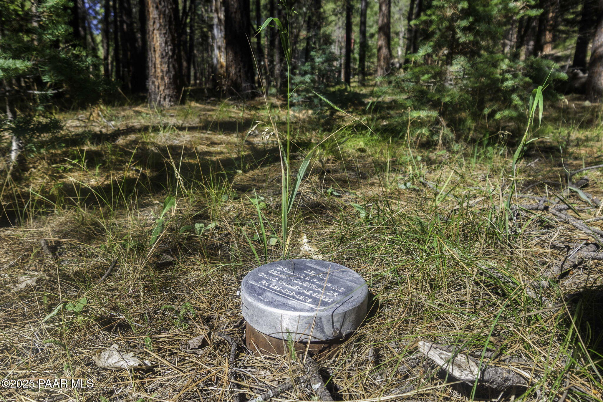 00 S Comstock Mine Road